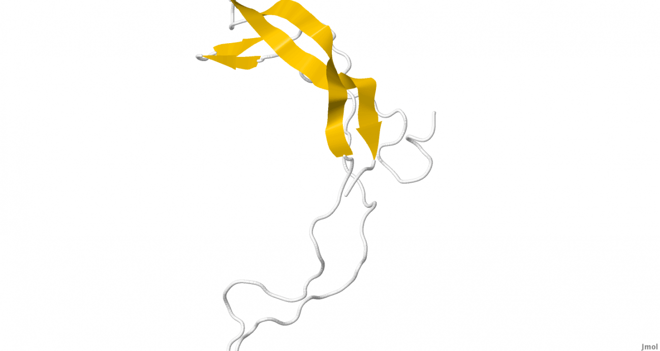 proteína esclerostina