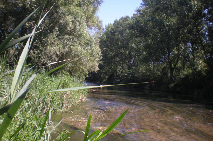Los efectos del cambio global podrían incrementar todavía más la salinidad de los ríos en muchas regiones del mundo (Fotografía: río Llobregat en Balsareny / Grupo de Investigación FEM-UB)