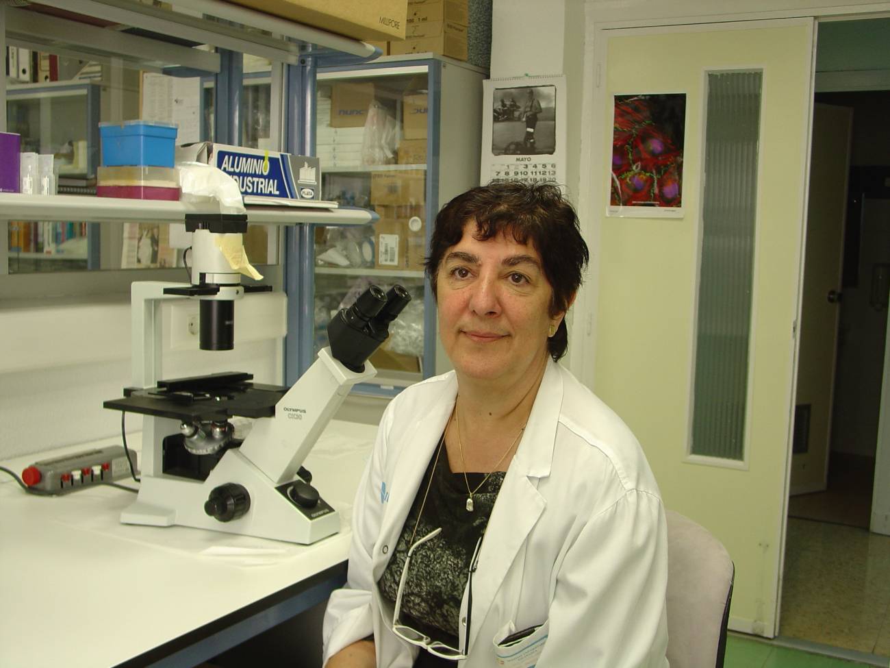 María Consuelo del Cañizo, en su laboratorio del Hospital Clínico. 