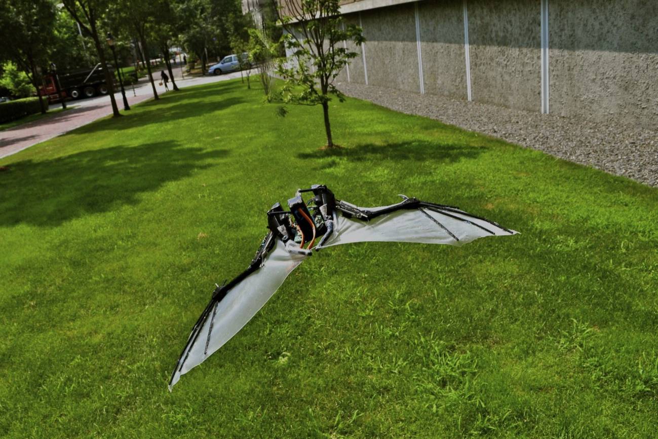 BaTboT: Micro robot aéreo tipo murciélago biológicamente inspirado en la fisionomía y biomecánica del espécimen Pteropus poliocephalus