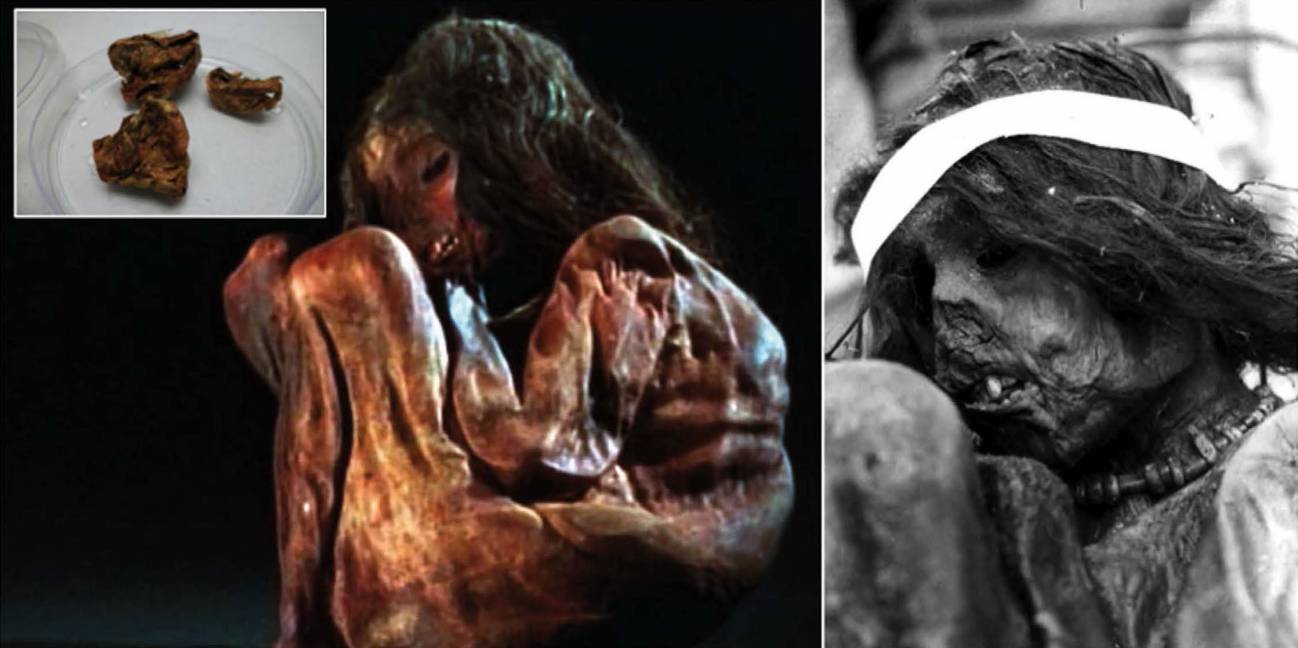 Detalle de la momia encontrada en 1985