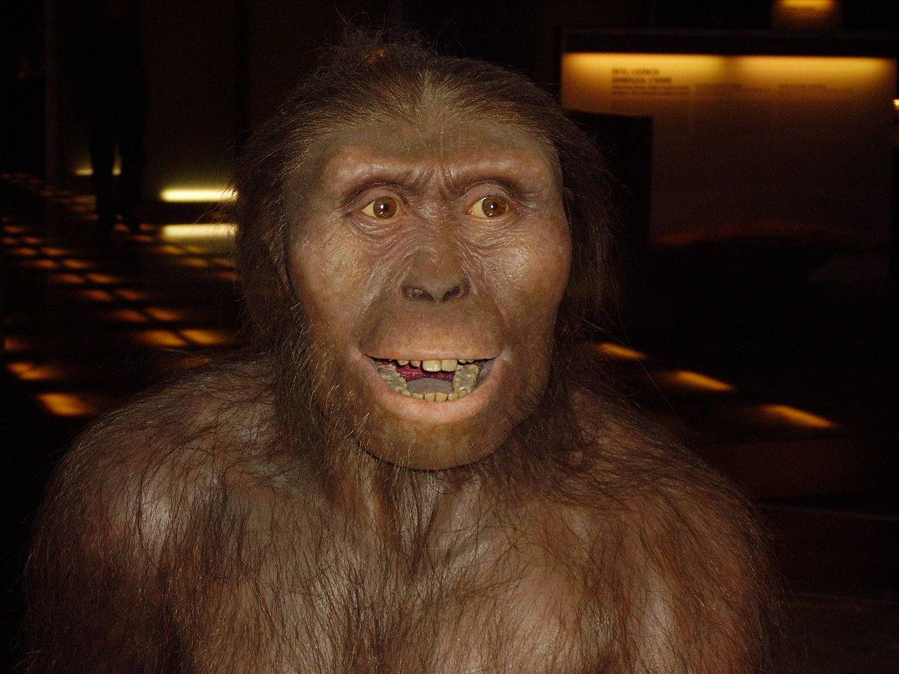 Los antepasados más remotos de la especie humana tenían una dieta variada