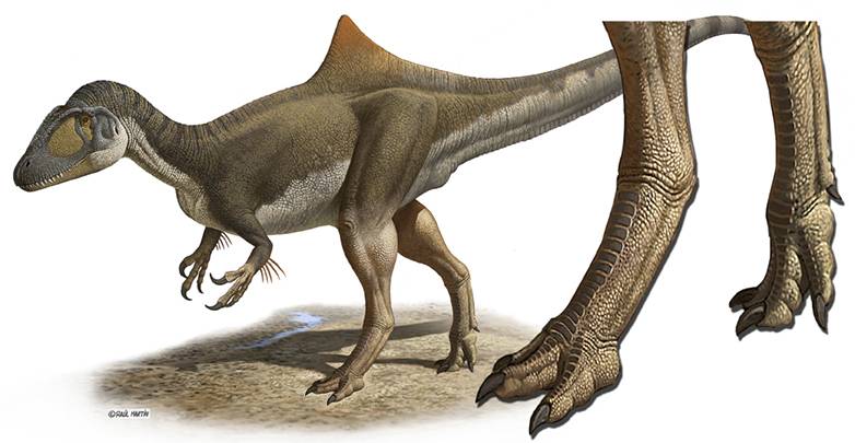 Los dinosaurios carnívoros tenían los pies de gallina