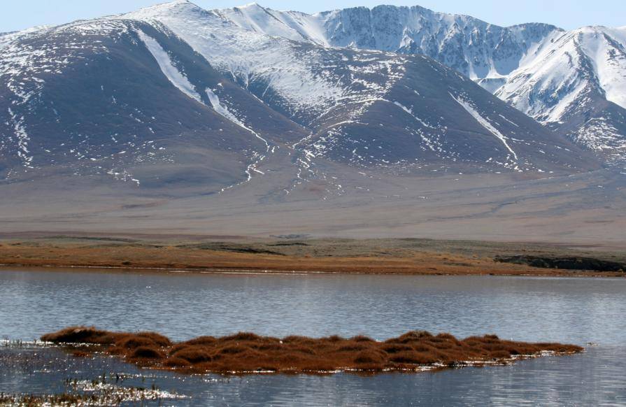 El Catálogo limnológico de los lagos de Mongolia ha estudiado más de 12.000 lagos y lagunas esteparias en Mongolia.