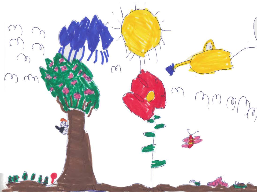 Los niños y niñas entienden antes de los ocho años la relación entre  animales y plantas