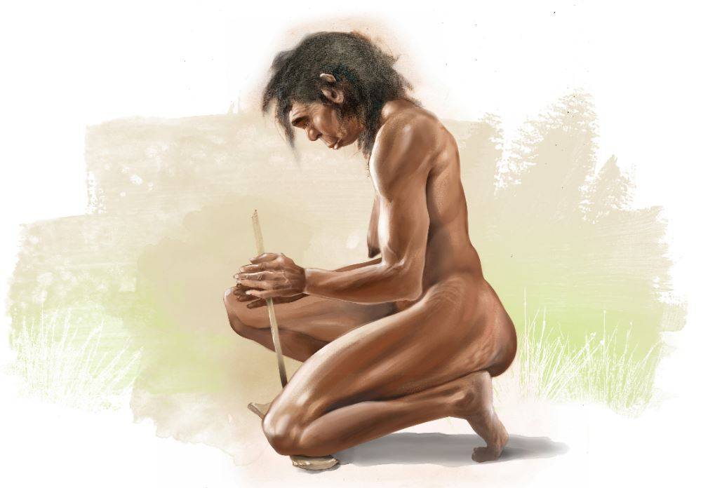 mujer Homo erectus
