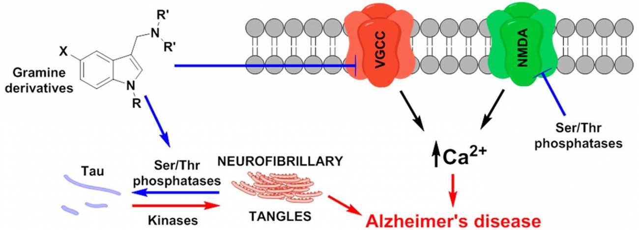 Nueva estrategia contra la enfermedad de Alzheimer