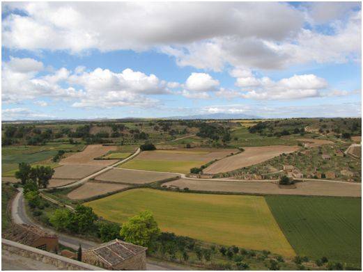 Paraje y Bodegas de ‘El Plantío’, en Atauta (Soria), Bien de Interés Cultural (BIC) con la categoría de Conjunto Etnológico. Fuente: UPM.