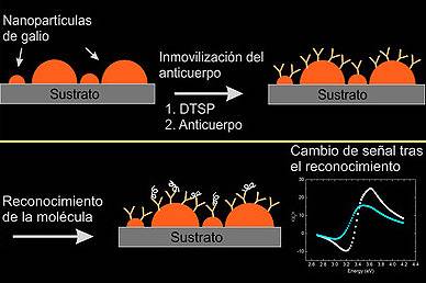 Nanopartículas de Galio sobre Silicio: una nueva plataforma para el desarrollo de biosensores