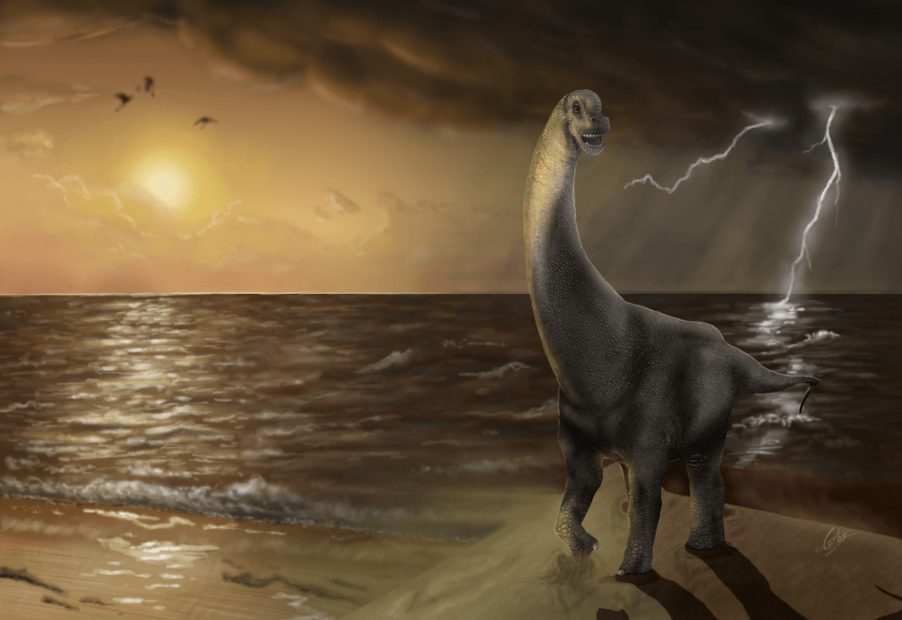 Oceanotitan', un nuevo dinosaurio del Jurásico Superior de Portugal