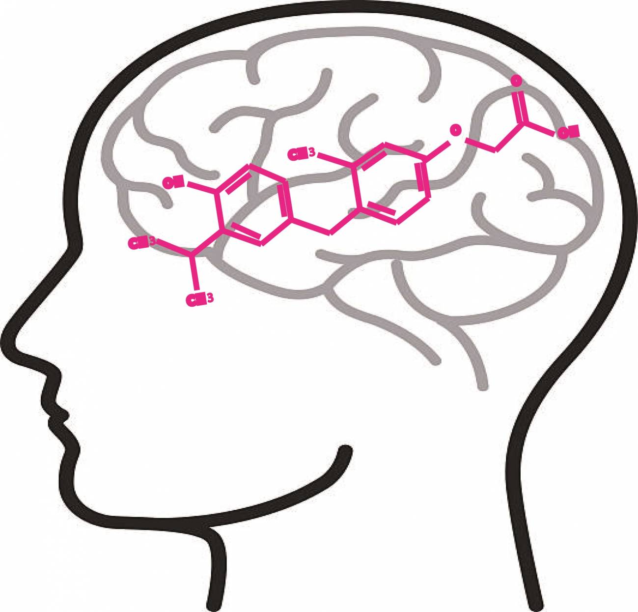 Dibujo diagrama de una cabeza humana, donde se ve el cerebro y el modelo de una molécula