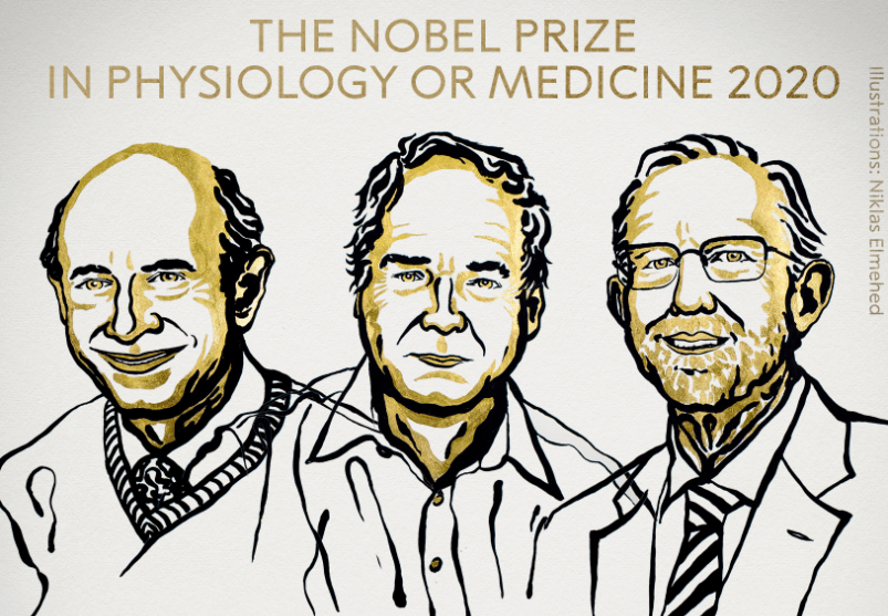 Premio Nobel de Fisiología o Medicina 2020 al descubrimiento del virus de la hepatitis C