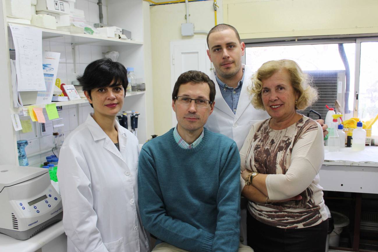 Investigadores del grupo ‘Transmisión de señales en células de mamífero’ de la Universidad de Sevilla / Fundación Descubre