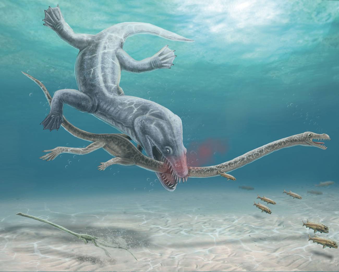 Reptiles marinos de cuello largo fueron decapitados en la era de los dinosaurios
