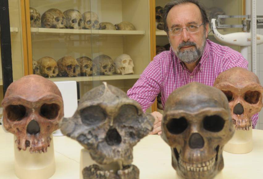 El catedrático Daniel Turbón, coautor del estudio científico, es especialista en antropología molecular y forense y en origen y evolución de los homínidos.