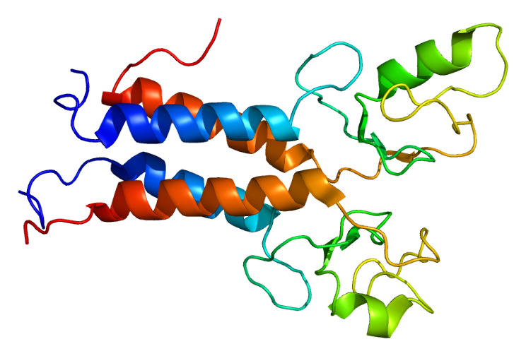 Proteína BRCA1. Wikipedia