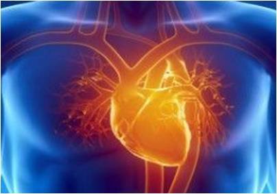 Se ha demostrado que un tratamiento con ultrasonidos mejora las propiedades curativas de las células madre cardíacas.