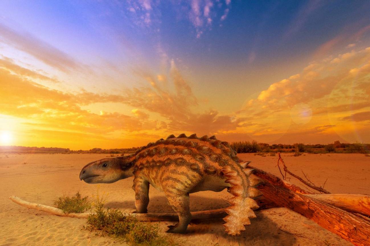 Un dinosaurio 'blindado' sacude la paleontología chilena
