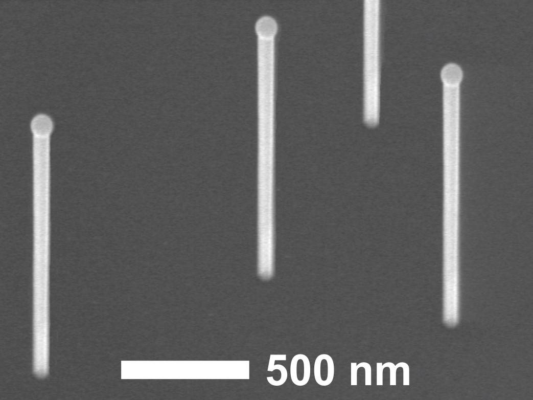 Imagen de nanohilos de arseniuro de galio crecidos sobre un sustrato de silicio. Sobre los nanohilos se pueden observar las gotas de galio que catalizan su crecimiento vertical. 