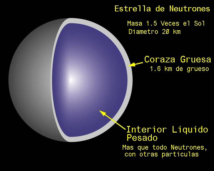 Estructura de una estrella de neutrones. Imagen: Wikipedia