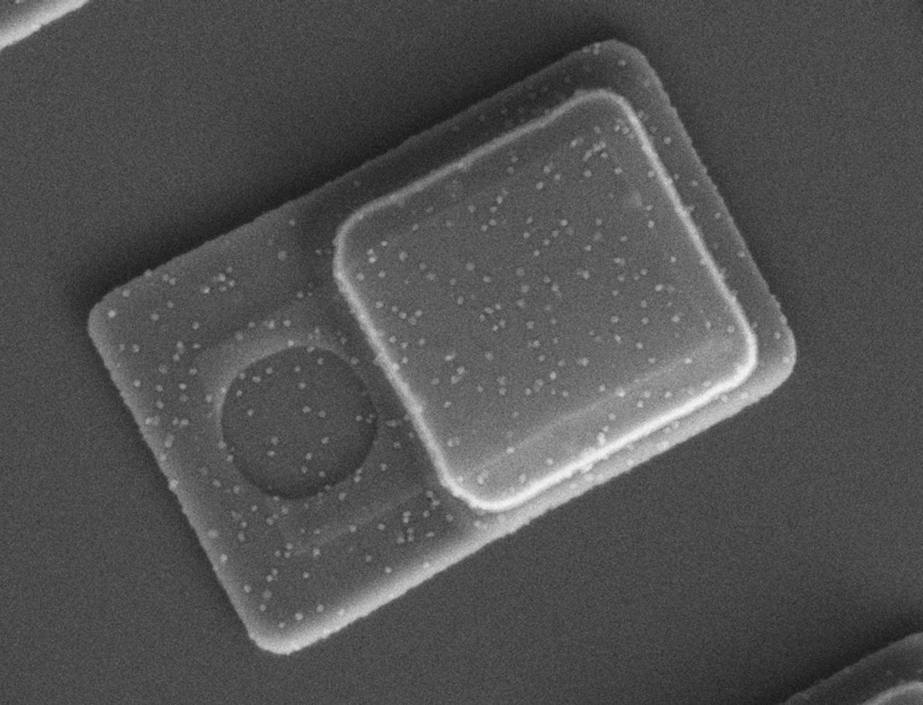 Imagen del nanobarómetro