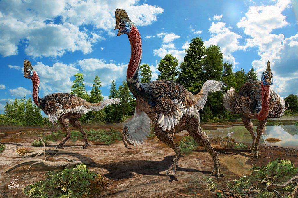 Un nuevo dinosaurio con cabeza de casuario y cuerpo de avestruz