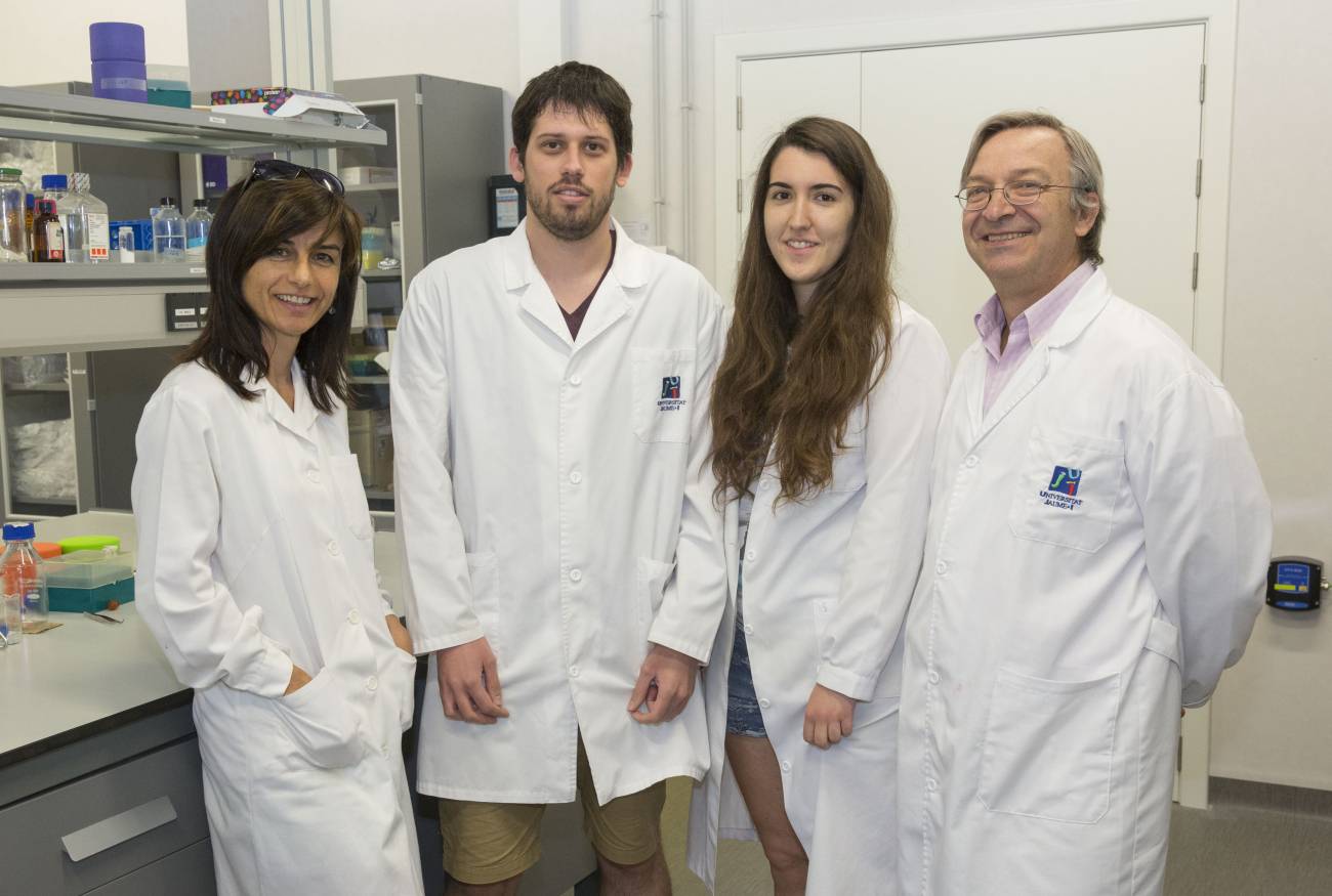 Miembros del Grupo de Investigación en Neurobiotecnología de la Universitat Jaume I de Castellón. Foto: UJI