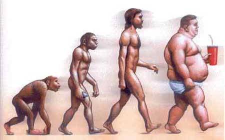 evolución del hombre moderno