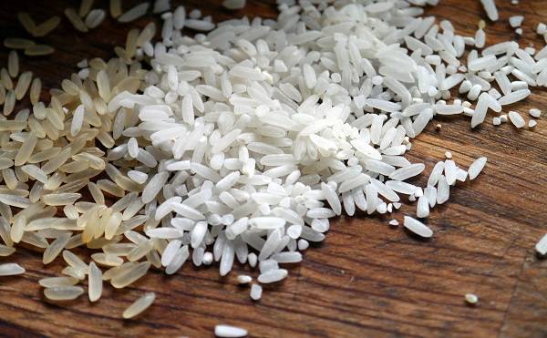 Para llevar a cabo el estudio, los investigadores emplearon cinco tipos de arroz. / Imageparty
