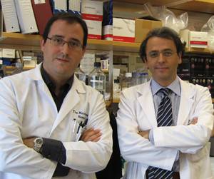 Dr. Augusto Villanueva y Dr. Josep Mª Llovet