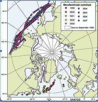 Mapa de la migración de Neodenticula seminae desde el Pacífico hasta el Atlántico, a través del Polo Norte.