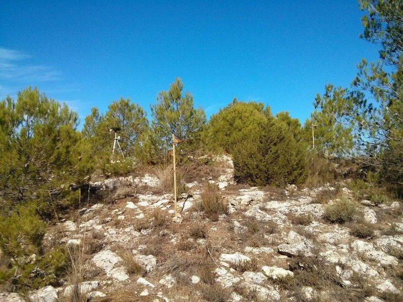 Red terrena desplegada durante una jornada de pruebas en la Sierra de Mariola (Alicante).