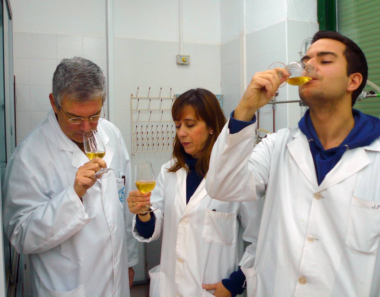 Investigadores del grupo Viticultura y Enología ‘Vitenol’ de la Universidad de Córdoba durante una cata / Fundación Descubre