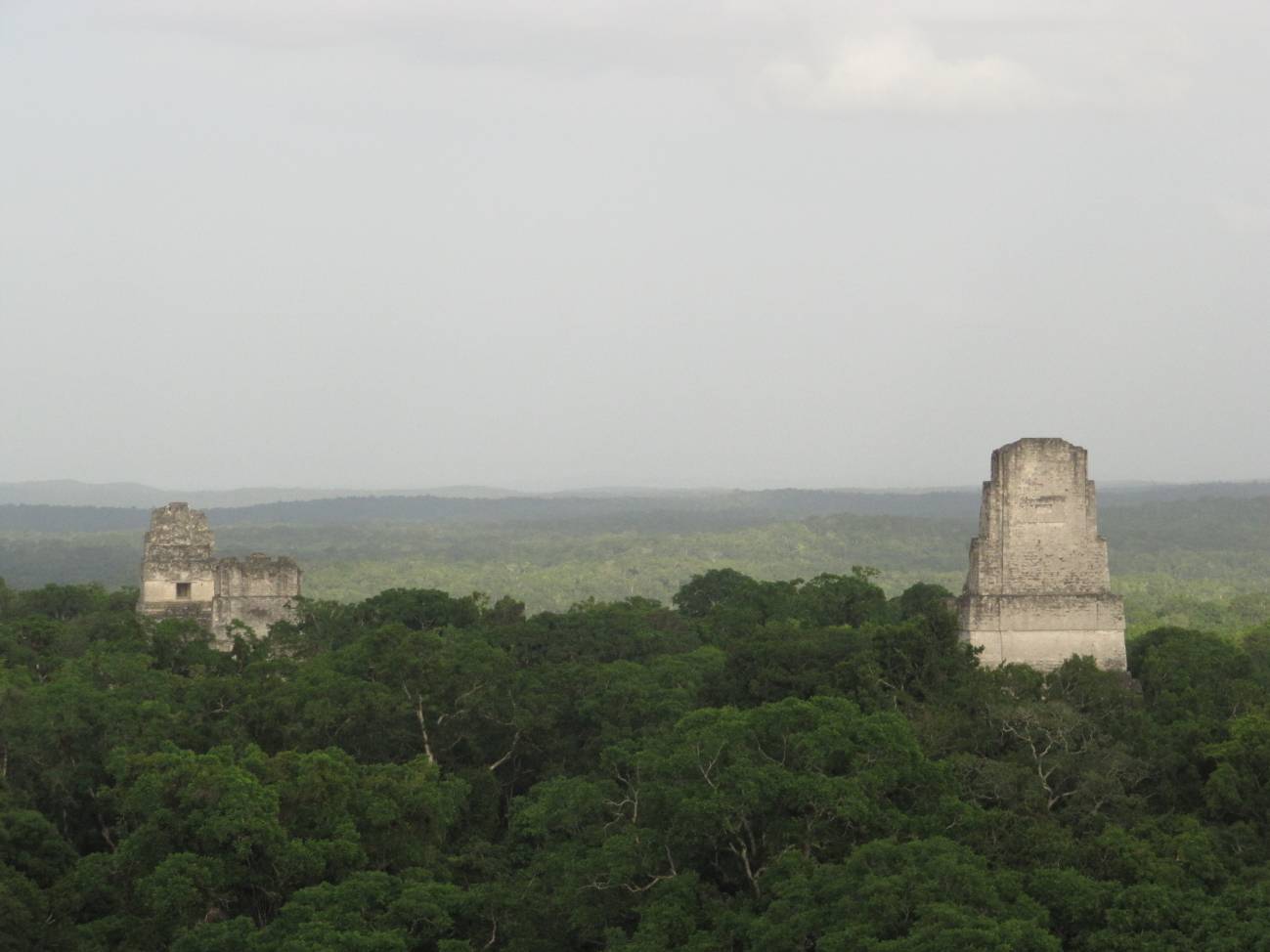Templos mayas de Tikal (Guatemala). Foto: SINC.