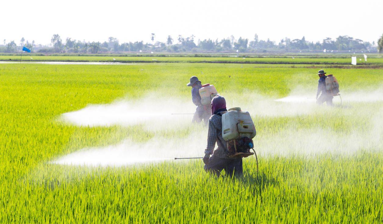 Glifosato, el pesticida que enfrenta a los científicos