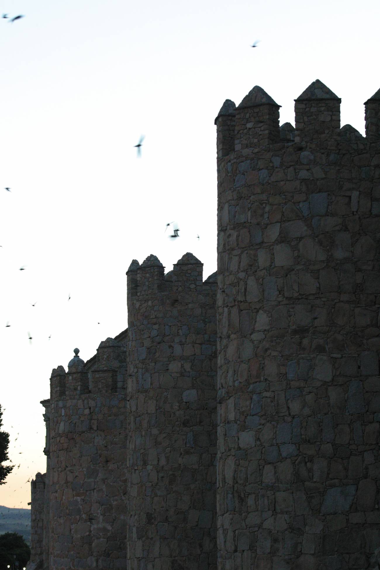 La muralla de Ávila ya tiene su versión digital.