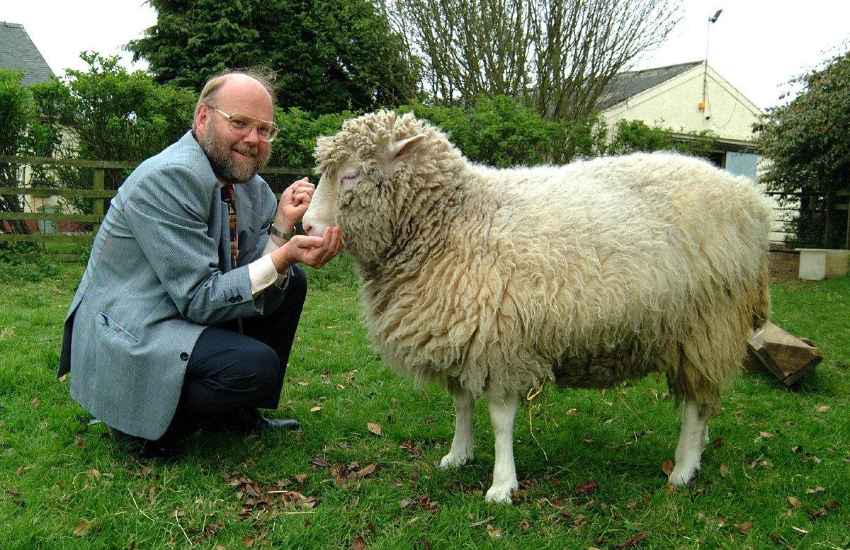 La oveja Dolly acariciada por su creador, el británico Ian Wilmut.