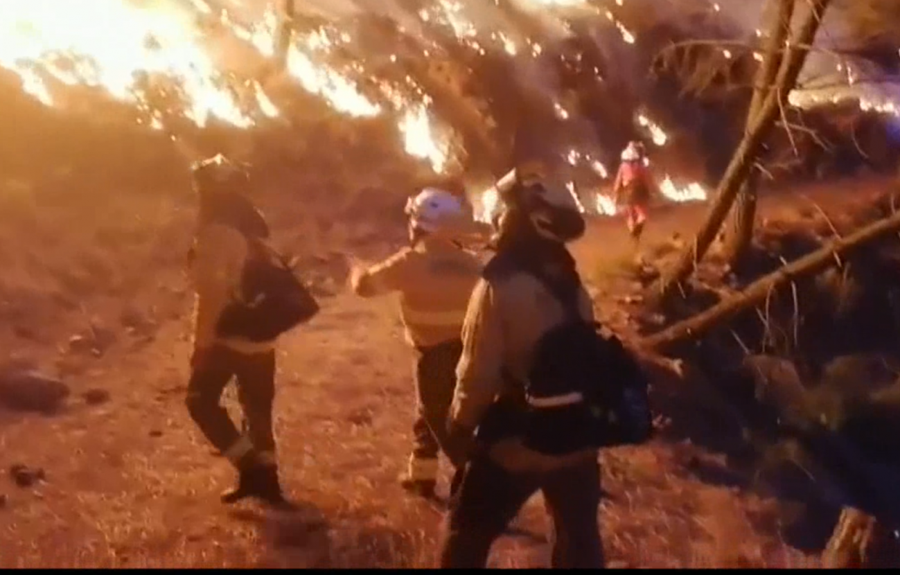 Bomberos luchan contra el fuego en Málaga