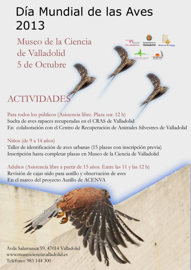 Cartel Día de las aves 2013