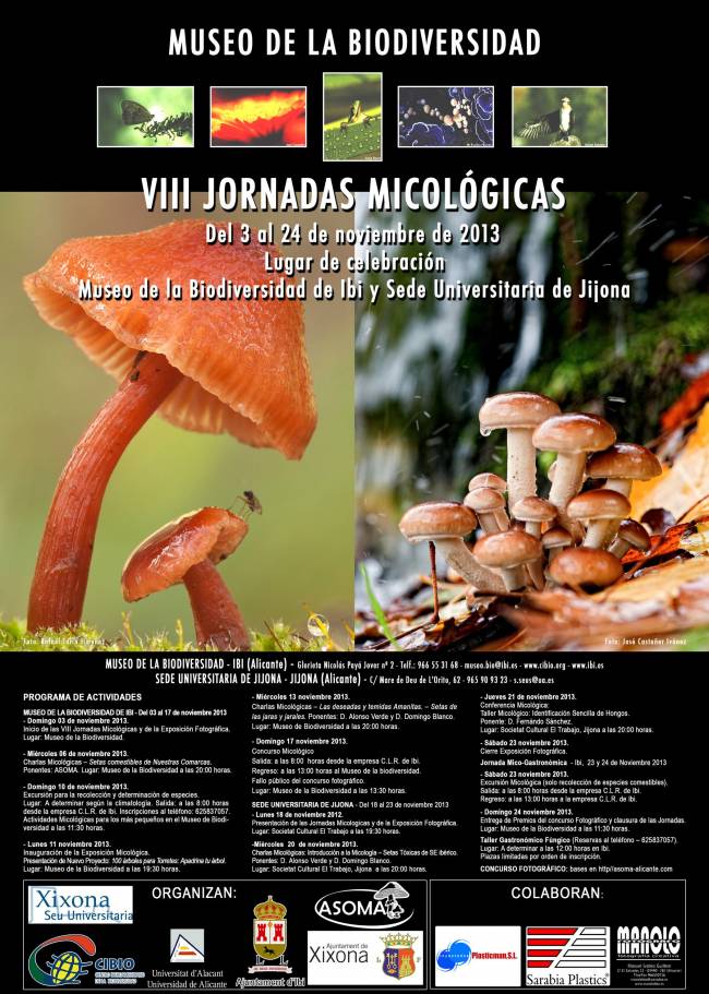Cartel anunciador de las VIII Jornadas Micológicas CIBIO (UA)