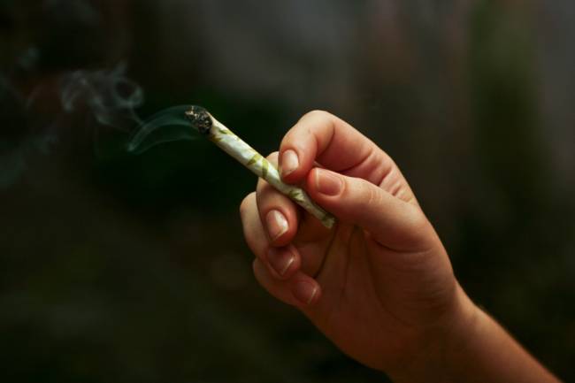 Una persona sujeta un cigarrillo de cannabis. / Prensa 420 