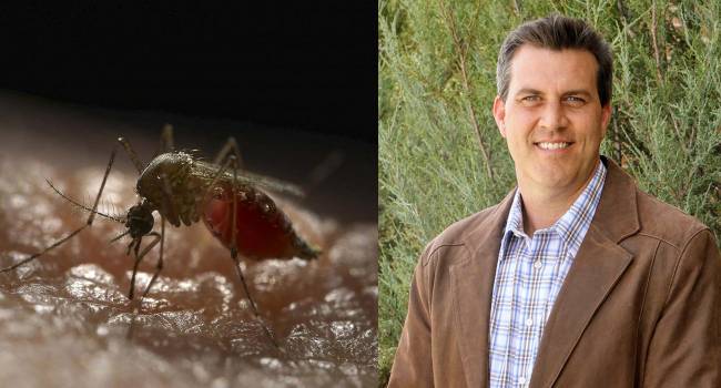 Los mosquitos son el depredador más letal de la humanidad, según el historiador Timothy Winegard