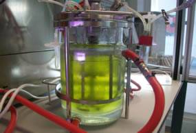 Bioproducción del género de microalga Chlorella en la planta de bioproducción de ainia centro tecnológico