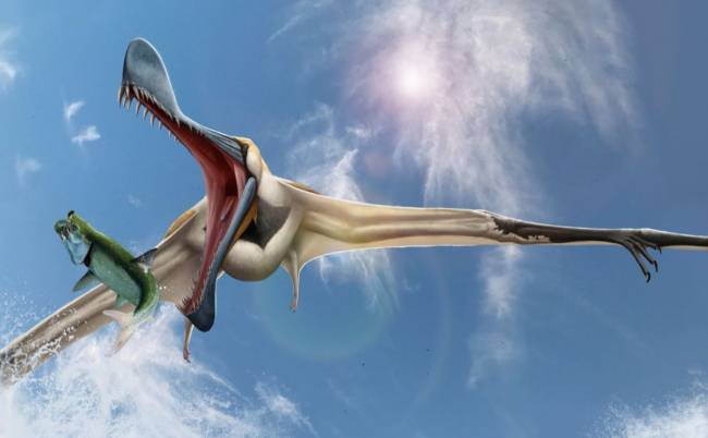 Pterosaurio dentado
