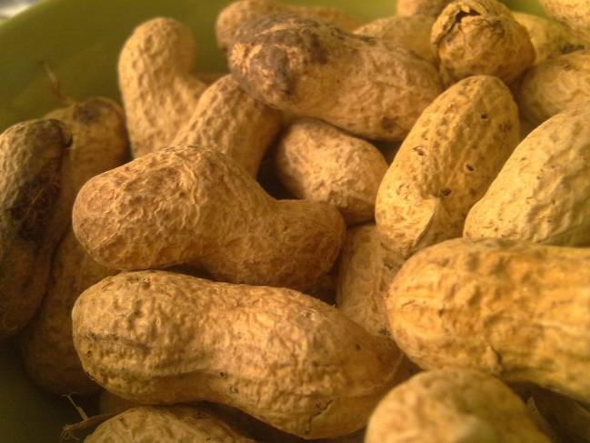 La alergia a los cacahuetes afecta al 1% de la población mundial. / Lablascovegmenu. 