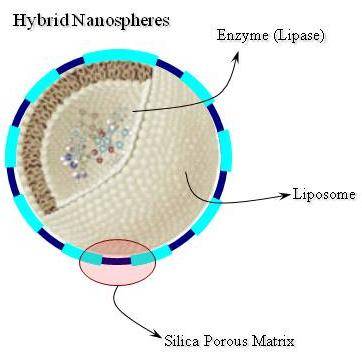 Esquema de la nanoesfera