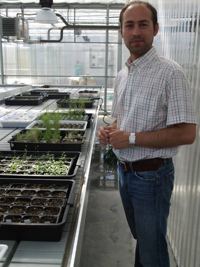 Investigadores del Centro Hispanoluso de Investigaciones Agrarias trabajan para que las plantas soporten la sequía o el frío.