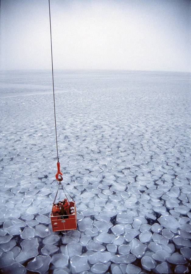 Mosaico de hielos en el mar de Weddell en la Antártida.