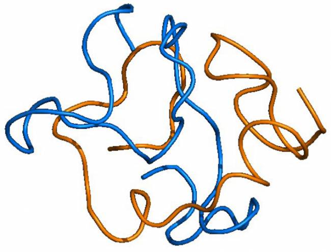 Estructura globular de los agregados iniciales de beta amiloide