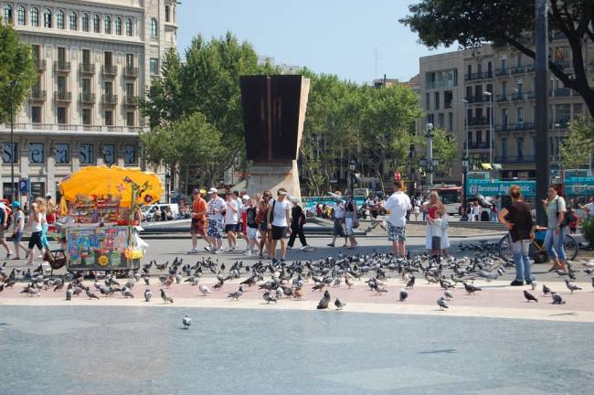 Palomas en la Plaza Cataluña de Barcelona